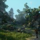 Imagen de la galería 6