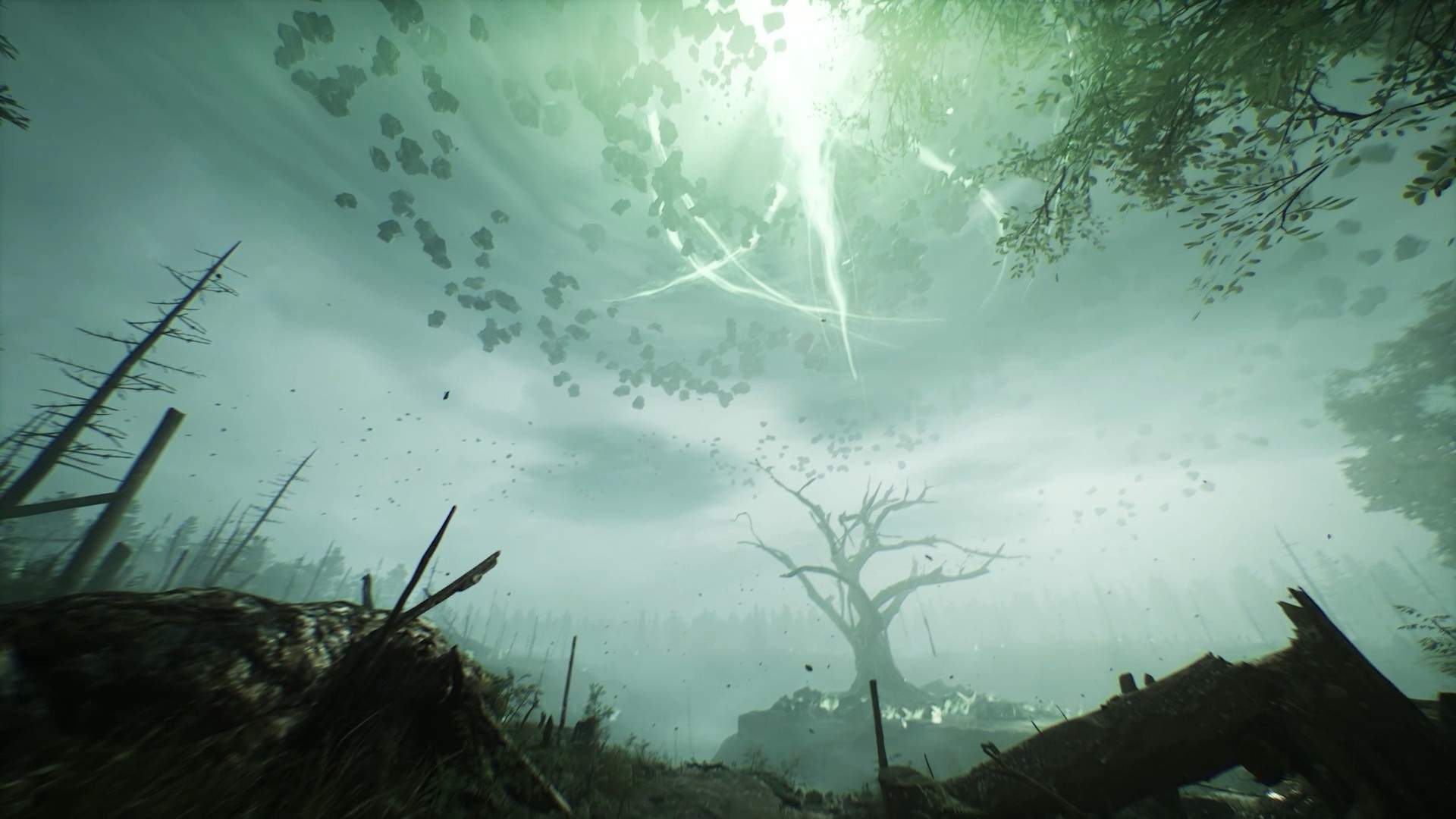 Imagen de Chernobylita
