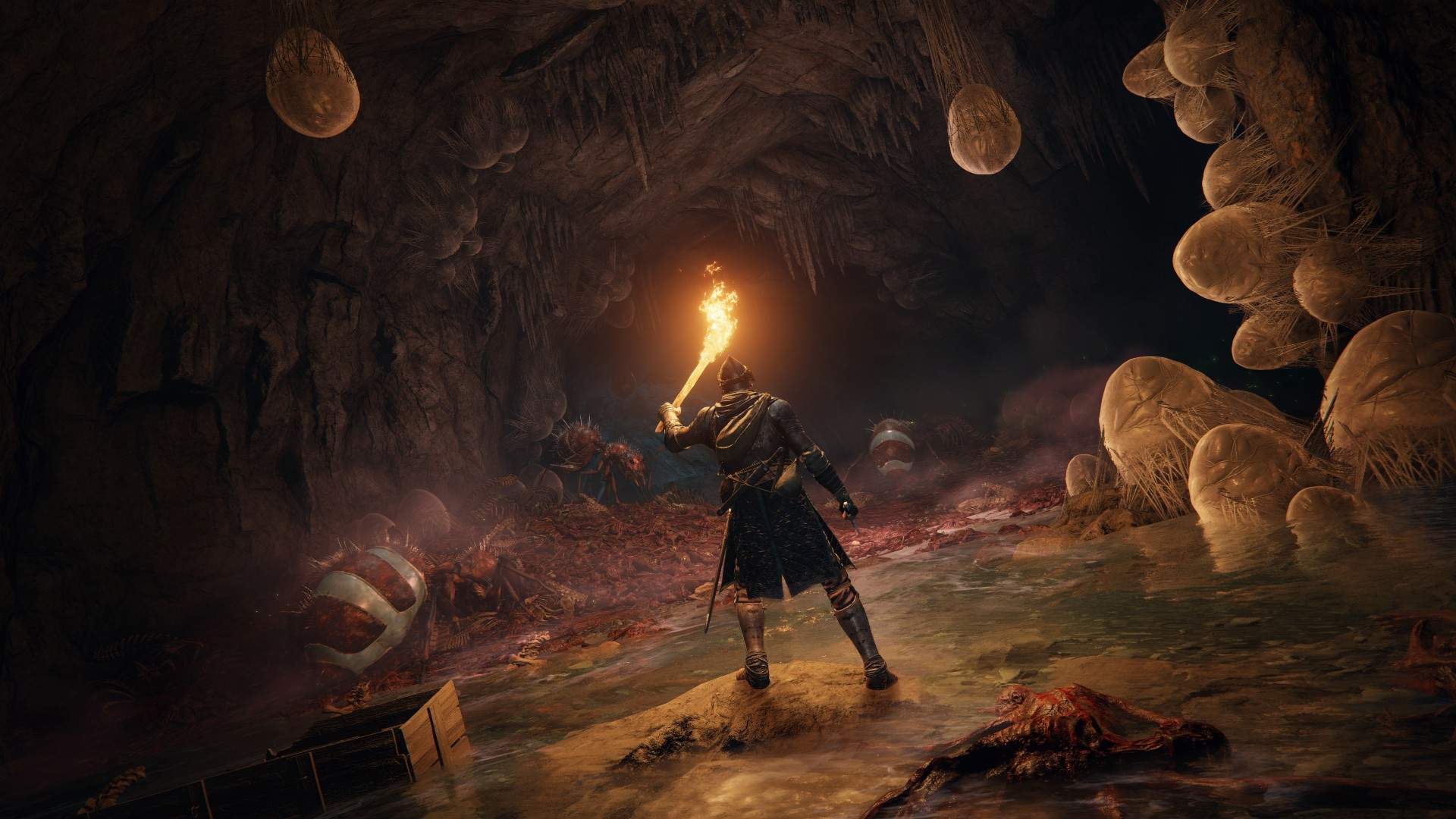 Captura de pantalla de Elden Ring