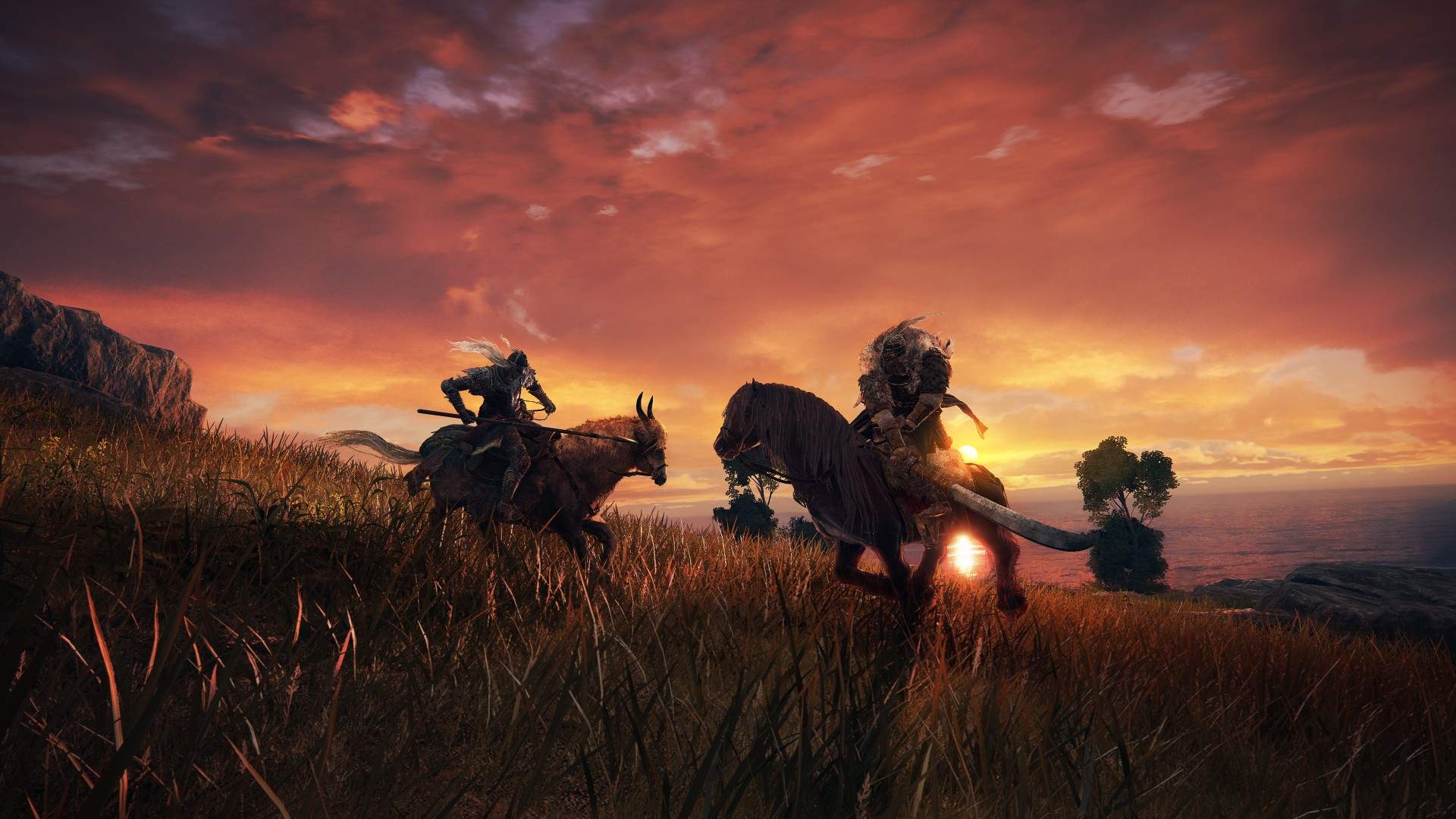 Captura de pantalla de Elden Ring