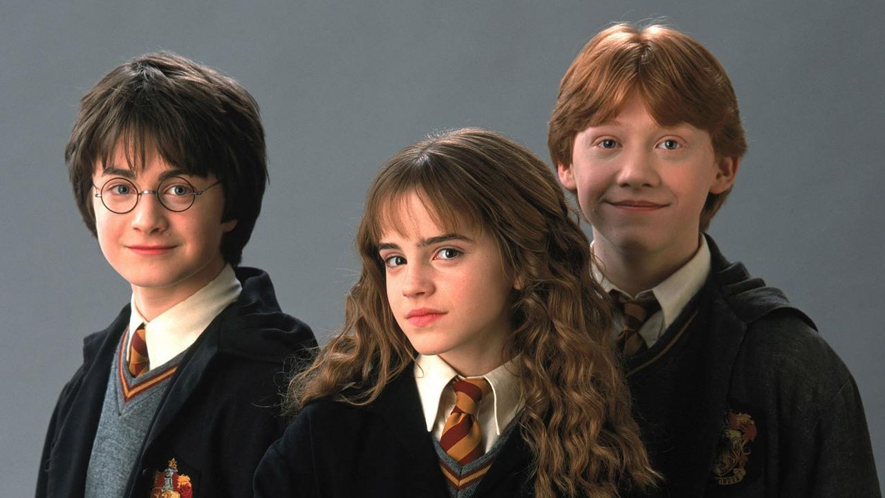 El MMO de Harry Potter fue cancelado por EA a principios de la década de 2000 porque pensó que la IP no duraría