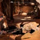Imagen de la galería 5