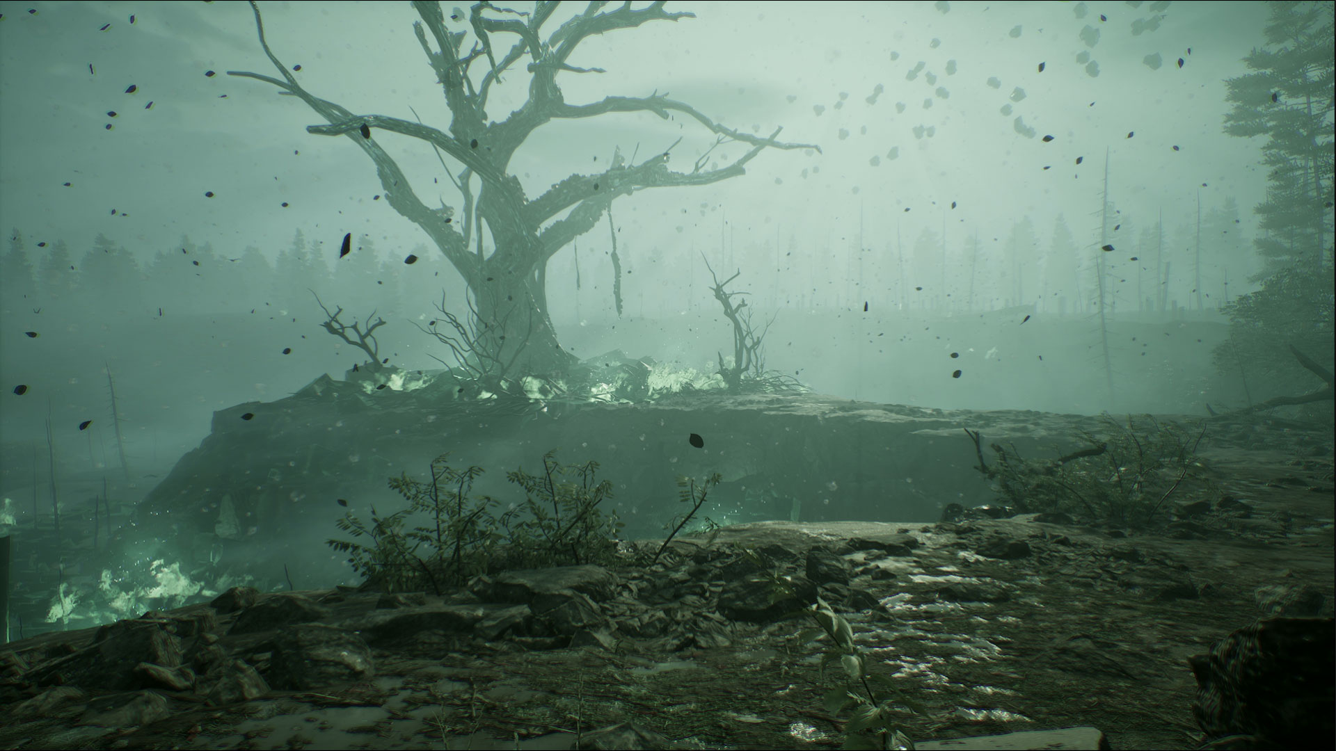 niebla y arboles