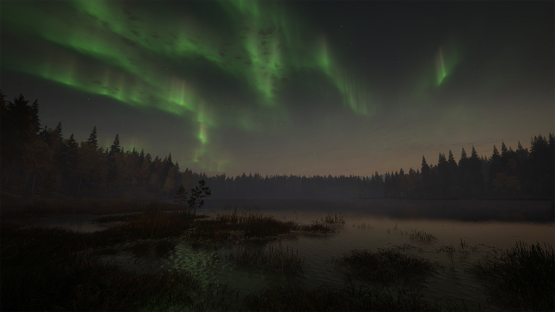 Auroras boreales