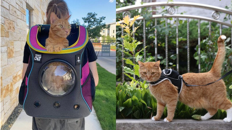 Estos accesorios de la marca Stray te permiten transportar a tu gato con estilo futurista
