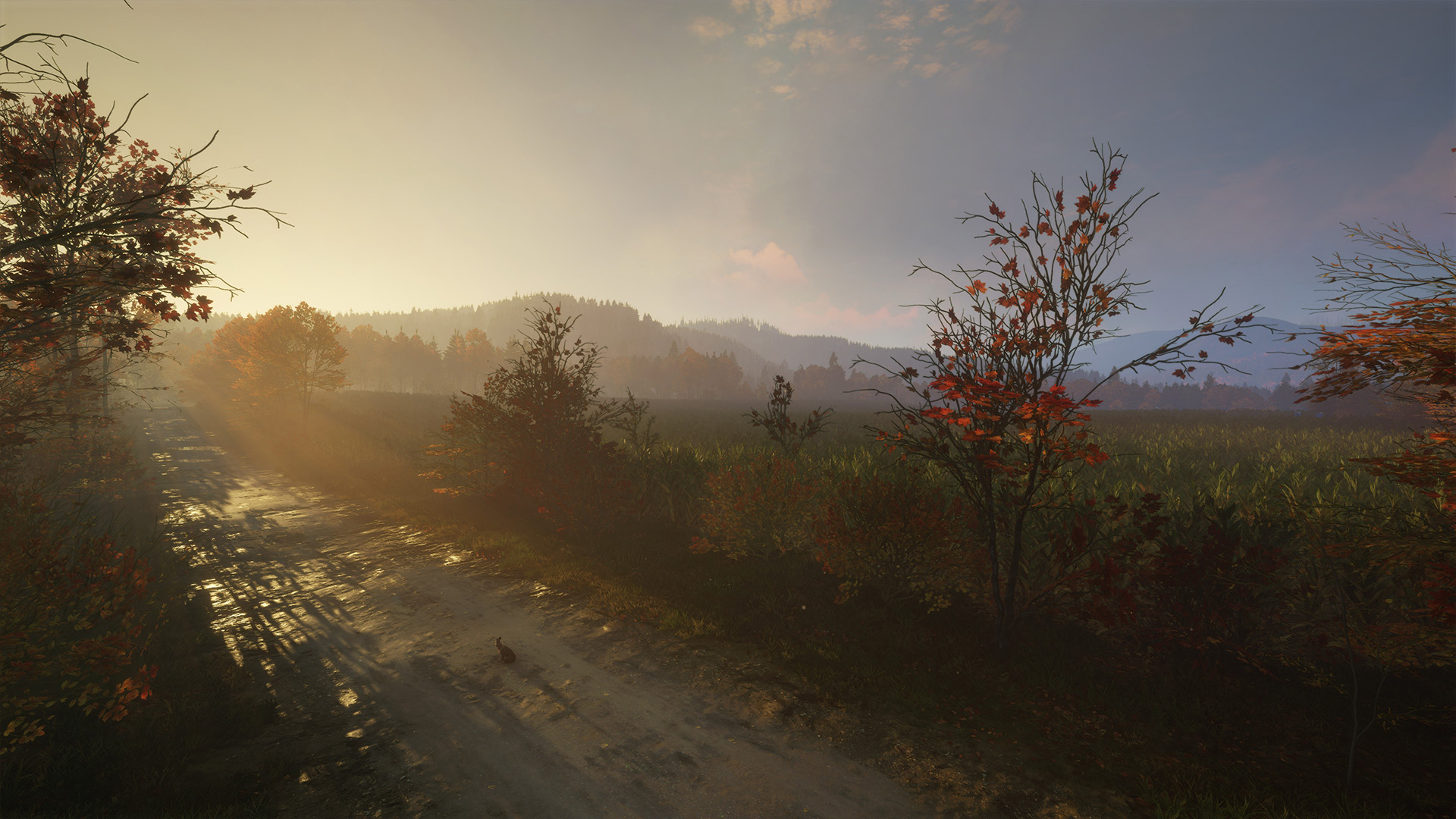 paisaje