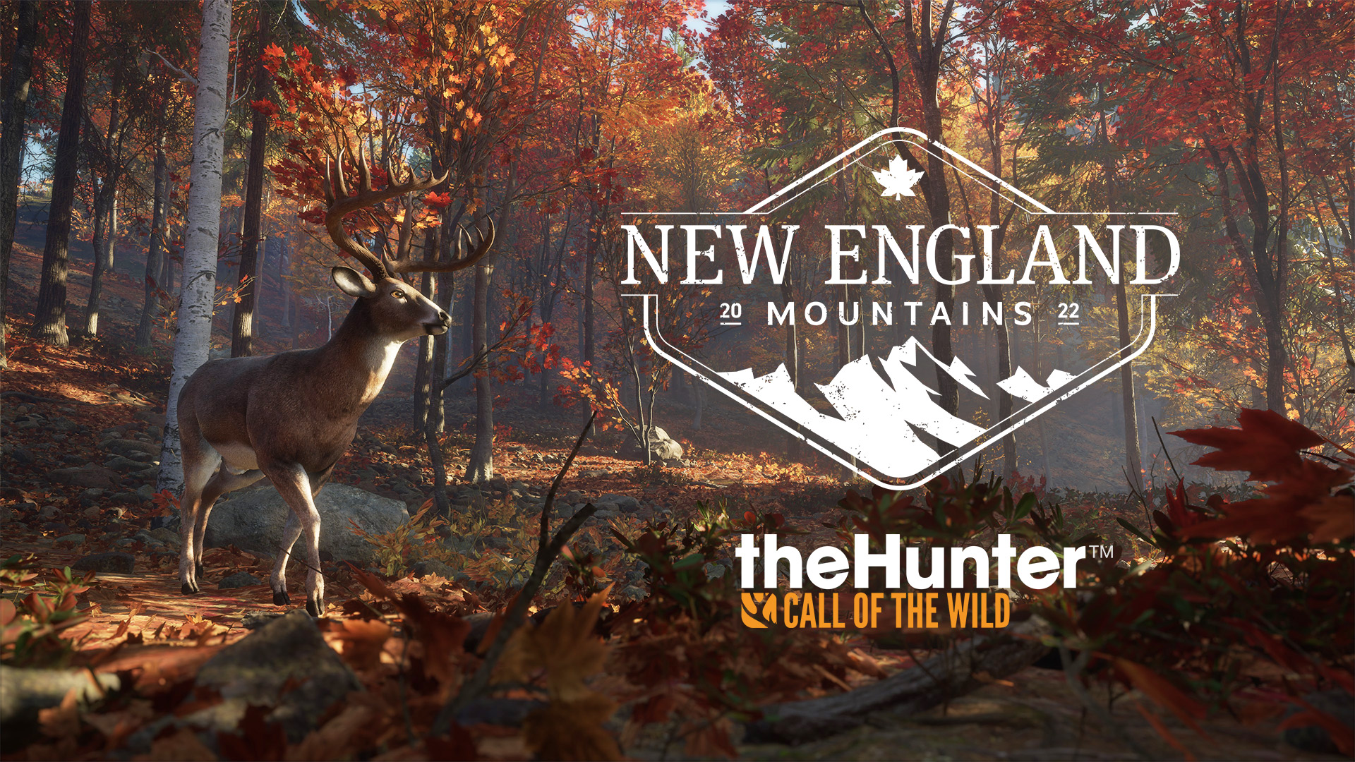 Reserva de las Montañas de Nueva Inglaterra ya disponible para theHunter: Call of the Wild