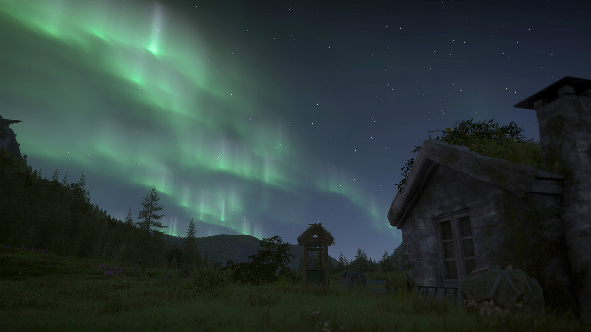 Auroras boreales