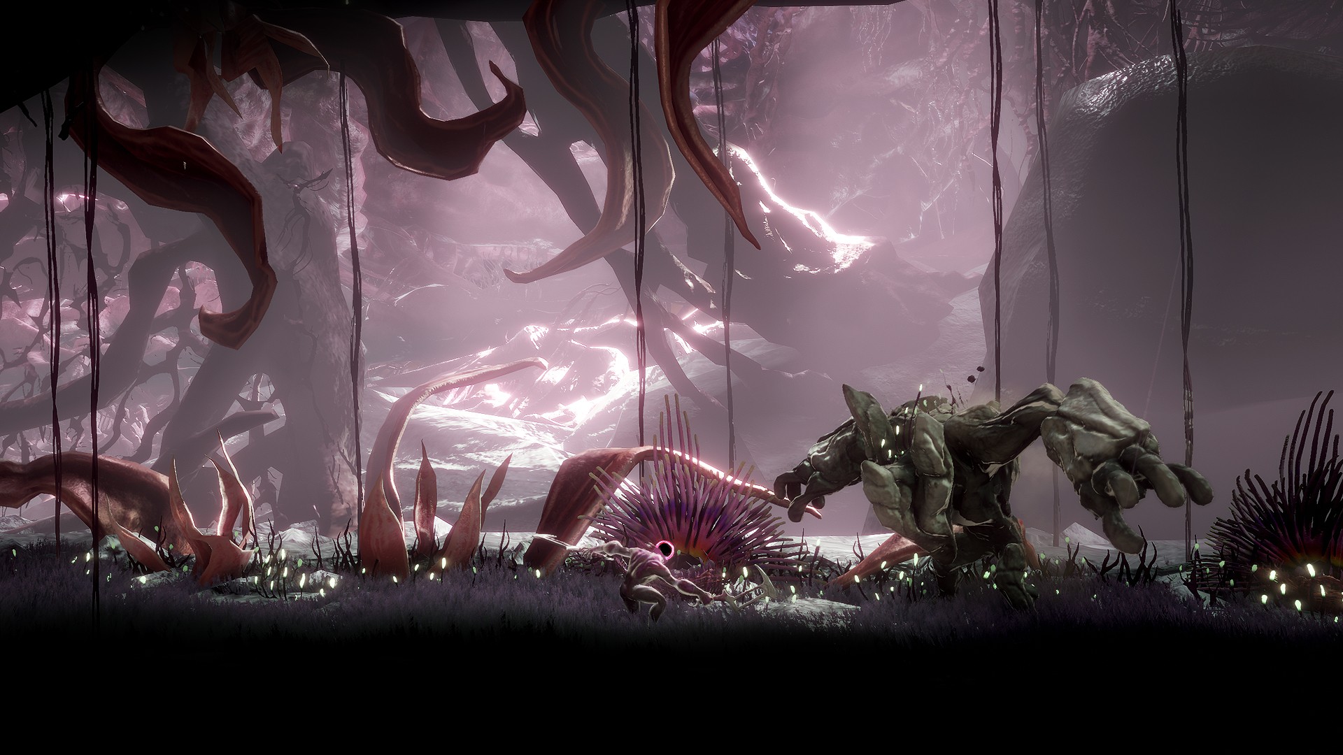 captura de pantalla