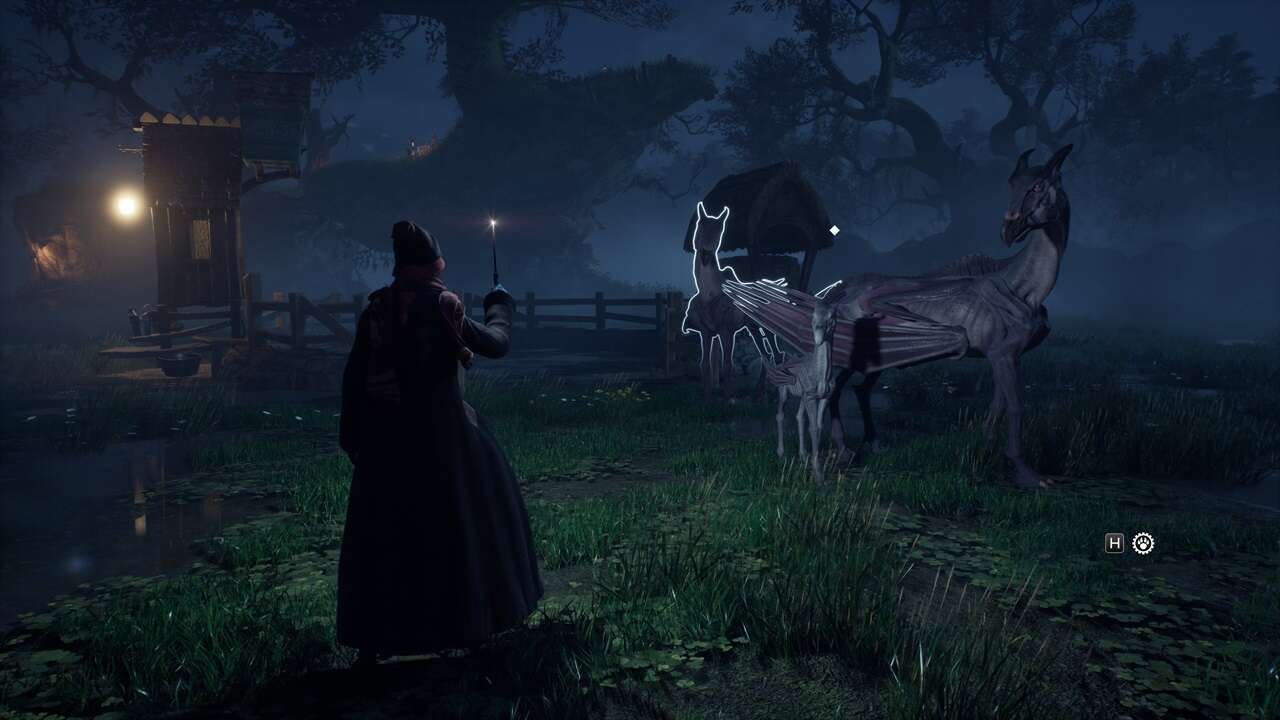 Cómo criar animales y bestias en Hogwarts Legacy