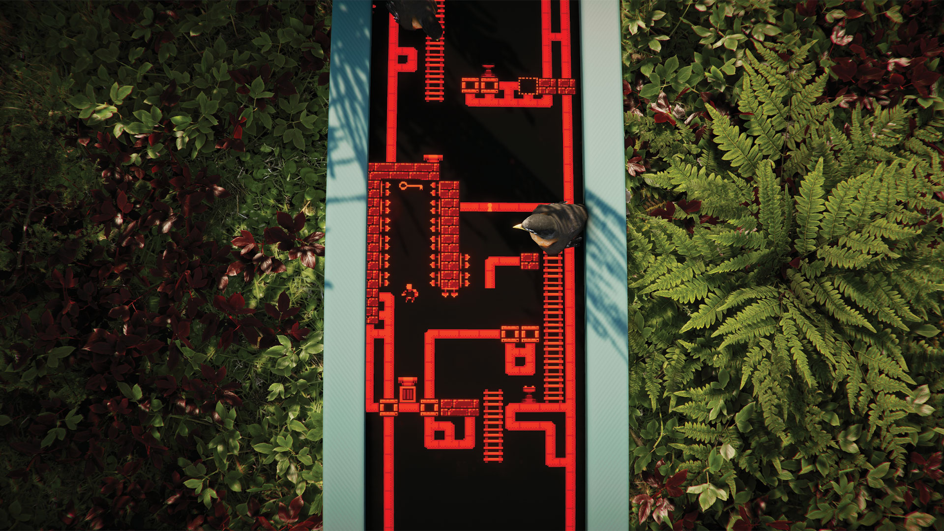 placa de circuito