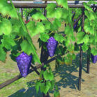 Las uvas Low-Poly de FFXIV Endwalker han sido inmortalizadas en mercancía física Las uvas Low-Poly de FFXIV Endwalker han sido inmortalizadas en mercancía física