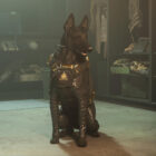 Agregan perros compañeros a Warzone 2 y Modern Warfare 2, ¡tendré que jugar Call of Duty ahora! Warzone 2 and Modern Warfare 2 are adding dog companions and I guess I have to play Call of Duty now