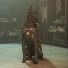 Cómo conseguir un perro mascota en MW2 y Warzone MW2 Warzone Tactical Pet