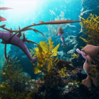 Guía de eventos de Pokémon Go: Pantano tóxico Creo Gaming