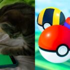Un gato se vuelve viral jugando Pokémon Go y atrapando un Repefire Creo Gaming