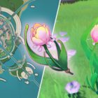 ¿Dónde están todas las rosas arcoíris en Genshin Impact? Creo Gaming