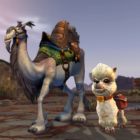 Consigue la mascota Dottie y la montura para paseo en camello blanco - World of Warcraft - Noticias de Blizzard Creo Gaming