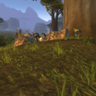 Los mejores lugares para cultivar Tuercespina en WoW Classic Season of Discovery Creo Gaming