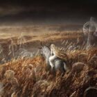 Elden Ring: una fecha de lanzamiento para la expansión Shadow of the Erdtree en marcha en 2024 Creo Gaming