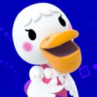 Buzón de Nintendo Life – febrero de 2024 Creo Gaming