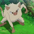 Pokémon GO: nuevo descubrimiento de fallo con un ninja Mankey Creo Gaming