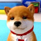 Redescubre el espíritu de Nintendogs con este juego de Switch por menos de 3$ Creo Gaming