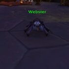 Encuentra a todos los tejedores de Itsy Bitsy Spider en Wow Creo Gaming