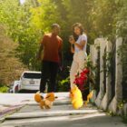 Pokemon Go presenta una nueva característica de la comunidad Creo Gaming