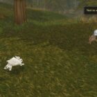 Guía completa para pelear en mascotas en Wow Mists of Pandaria Creo Gaming