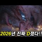 2026: GTA 6 y 2 juegos nuevos que harán el zumbido durante todo el año! Creo Gaming