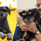 CouRageJD: El perro Louis se convierte en el ícono de Fortnite, la emoción está ahí. game icon