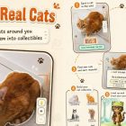Sorpresa de juego móvil: ¡un nuevo juego de recolección de gatos cautiva a los fanáticos de Pokémon Go! Pokémon Go Fans Need To Try This Free Cat-Collecting Mobile Game