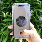 Aplicación de reconocimiento de flores: convierte tus paseos en una búsqueda del tesoro botánico. This flower identification app turns every walk into Pokémon Go for plants
