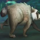 ¡Jimothy, el mapache viral, aparece en WoW y RuneScape! Jimothy the Viral Raccoon Joins Video Games Like World of Warcraft and RuneScape